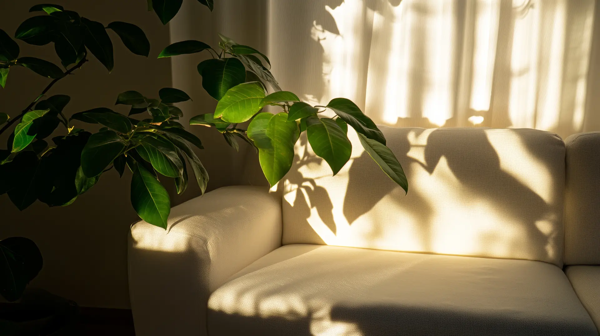 More Light And Nature - How Does Interior Design Affect Your Mood?