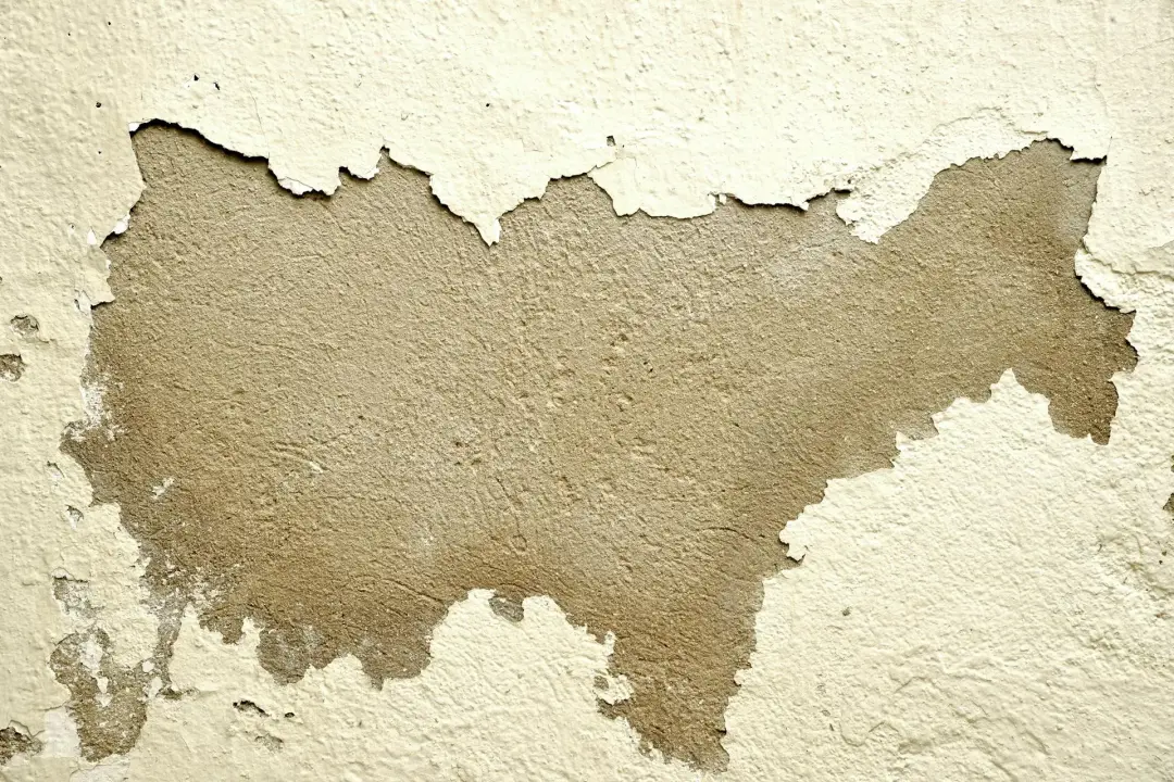 Flaking Paint on Plaster